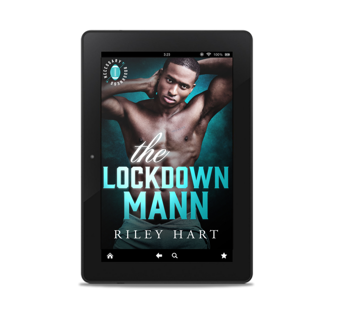 The Lockdown Mann Ebook