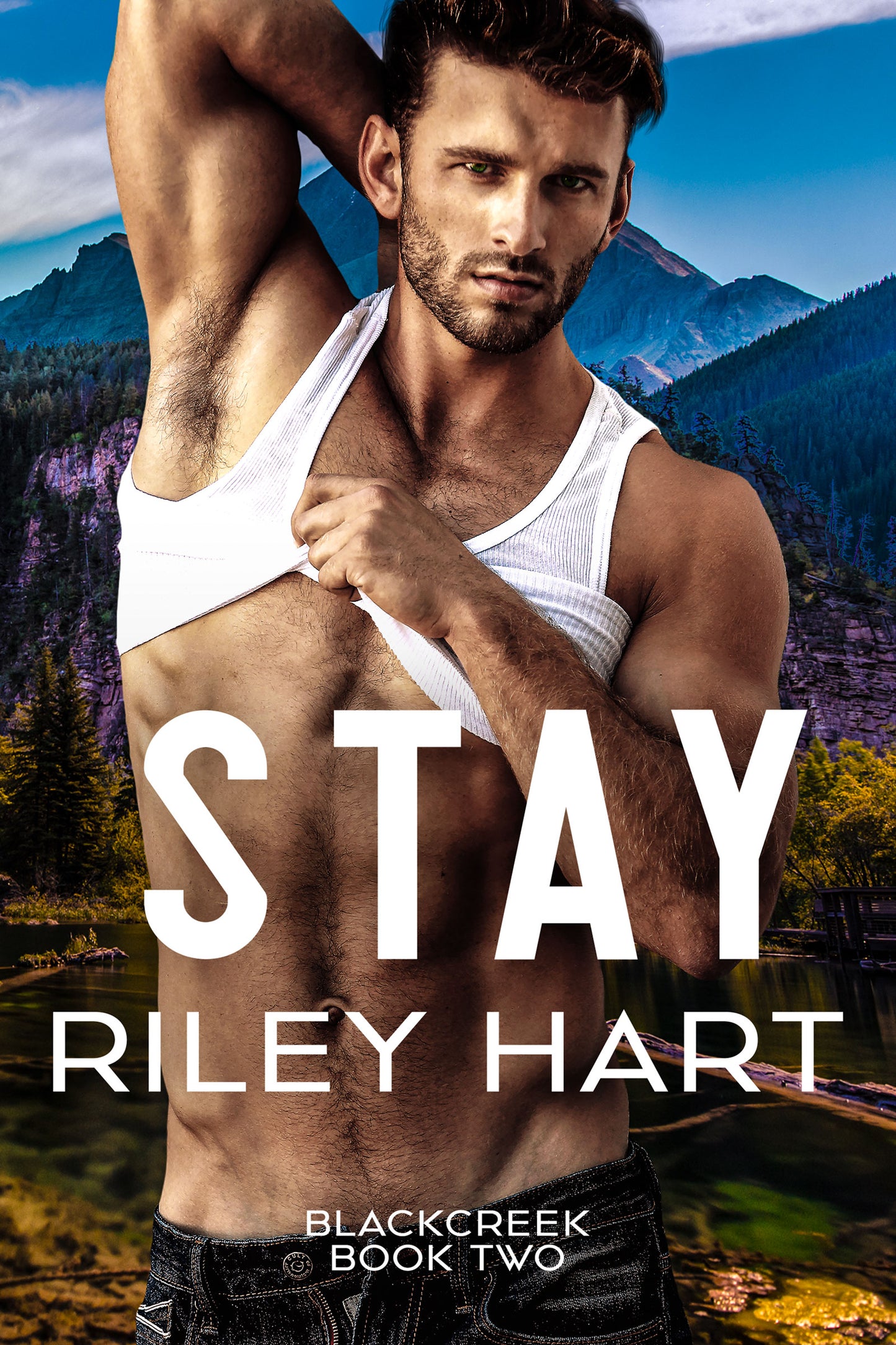 Stay eBook